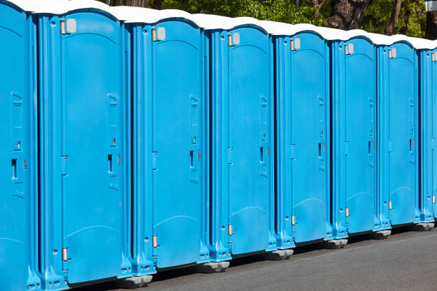 Best Standard Portable Toilet Rental  in Green Park, MO